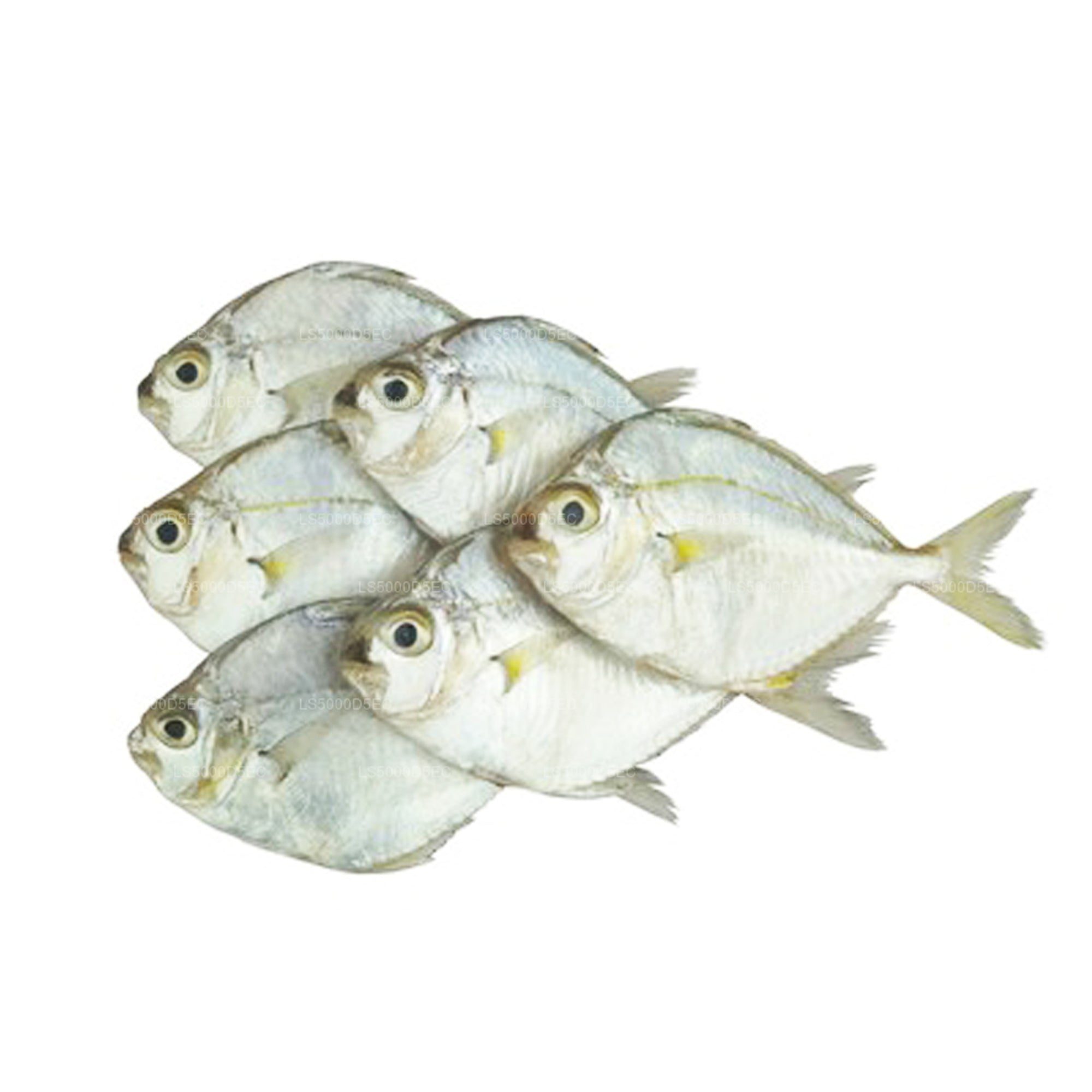 Lakpura® Dried Karalla (Pony Fish) 200g, Salted Dry Fish (Karawala)