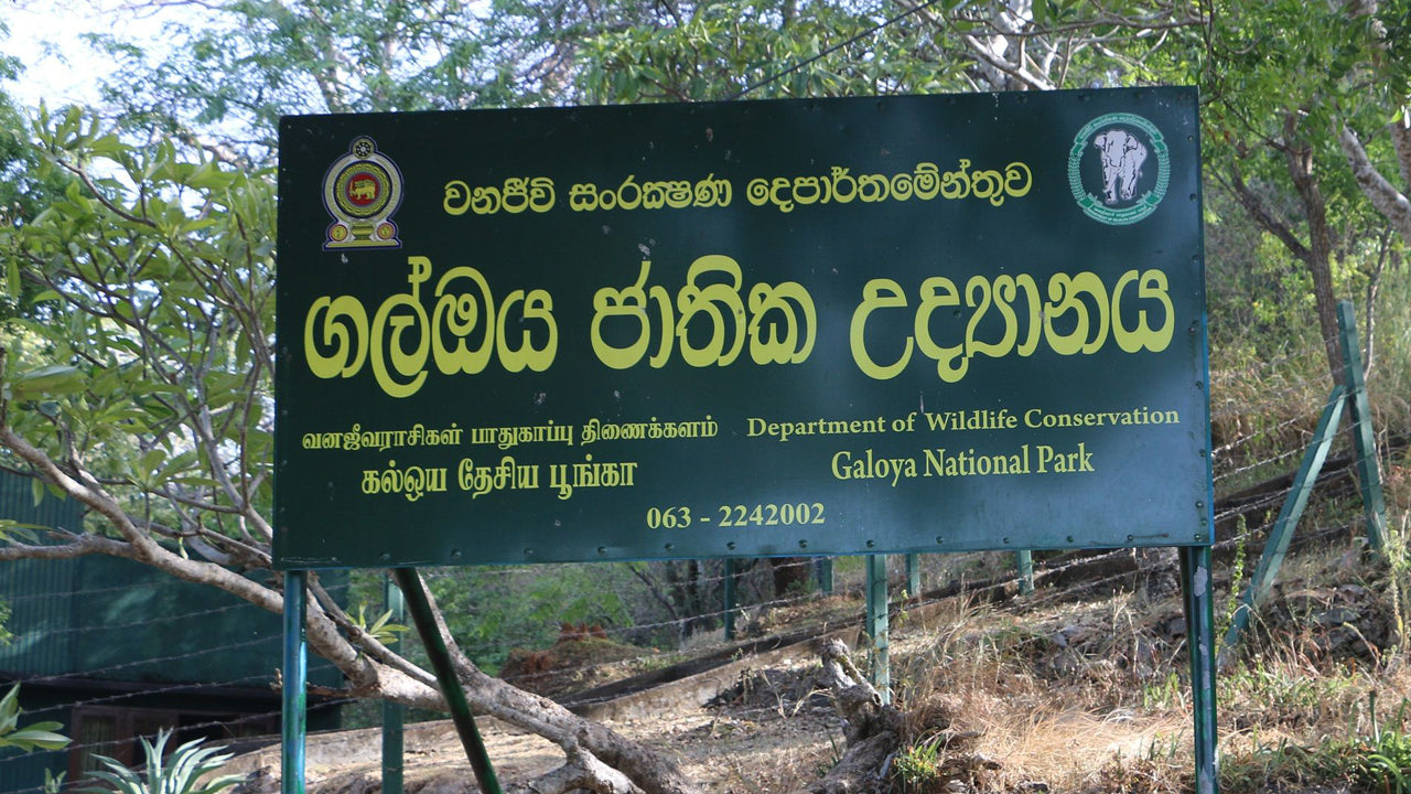 Gal Oya National Park Boat Safari