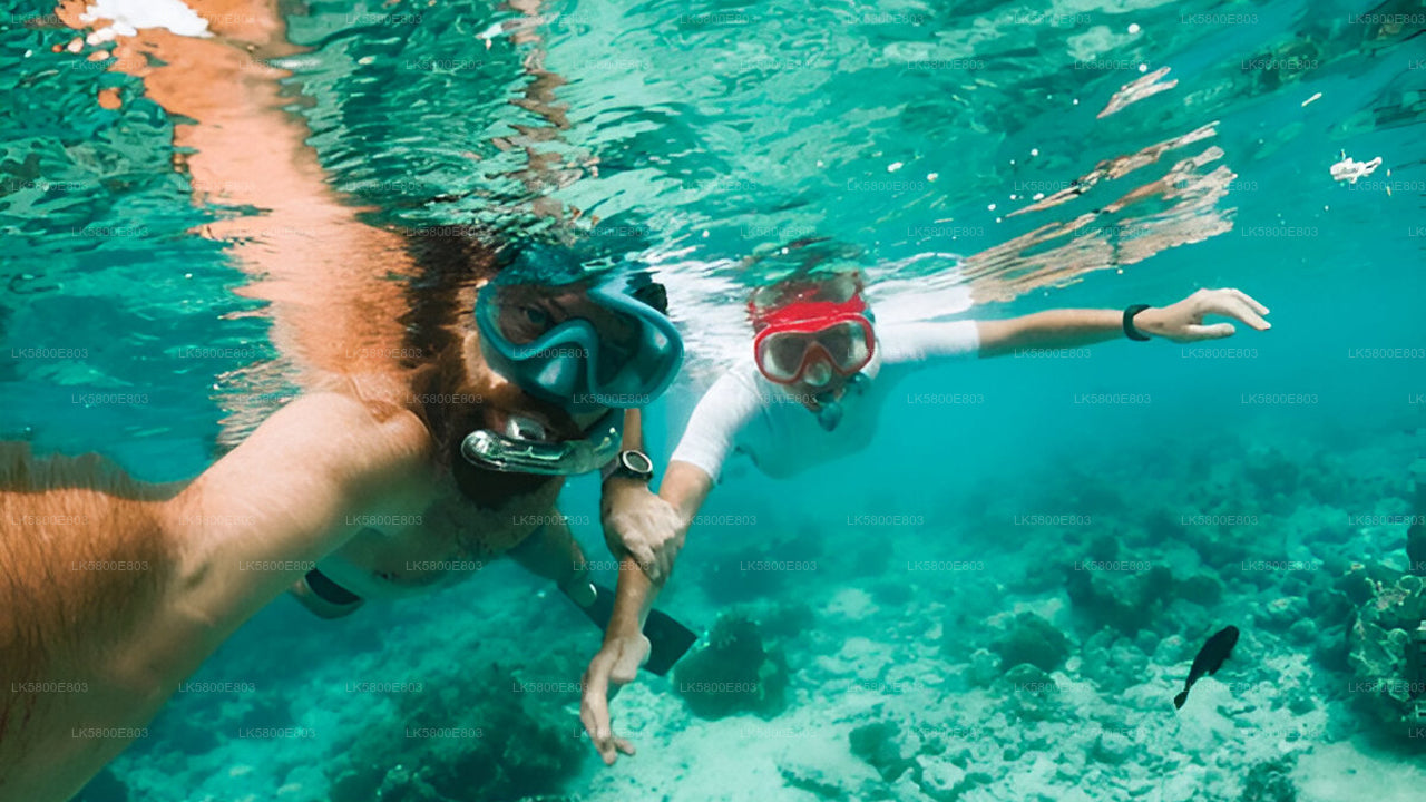 Snorkeling at Pigeon Island from Trincomalee City