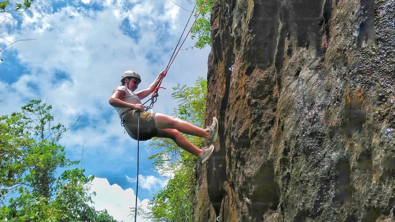 Forest Rock Climbing from Mount Lavinia City