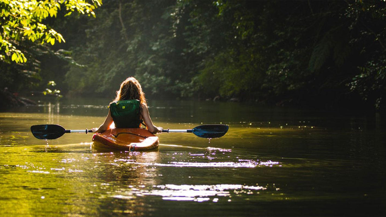 Mangrove Kayaking from Bolgoda Lake