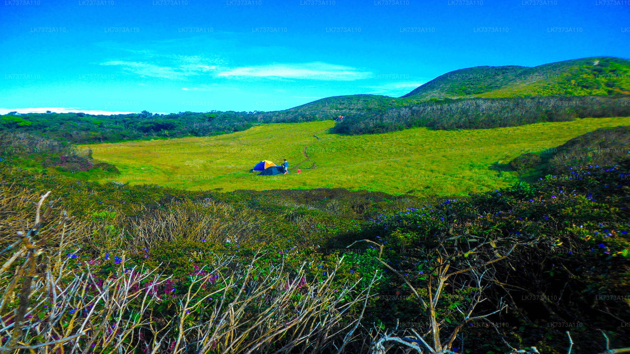 Camping from Ramboda City