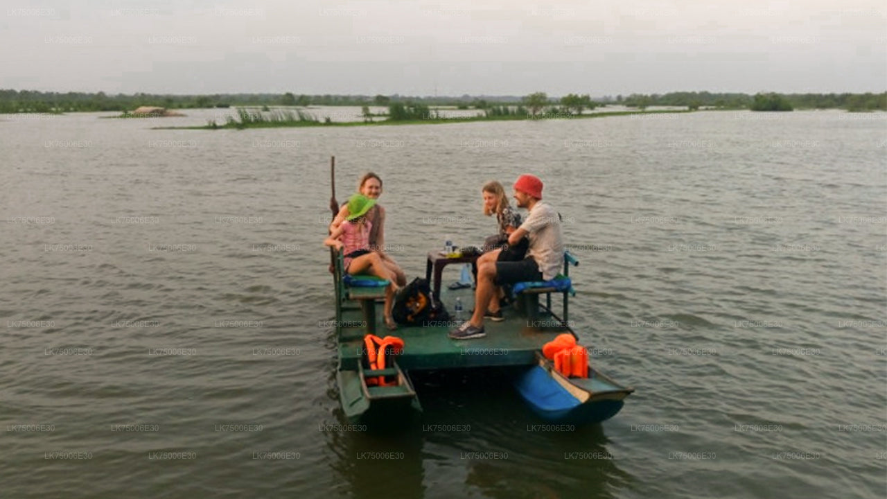 Birdwatching by Boat at Kalametiya Sanctuary from Hiriketiya City