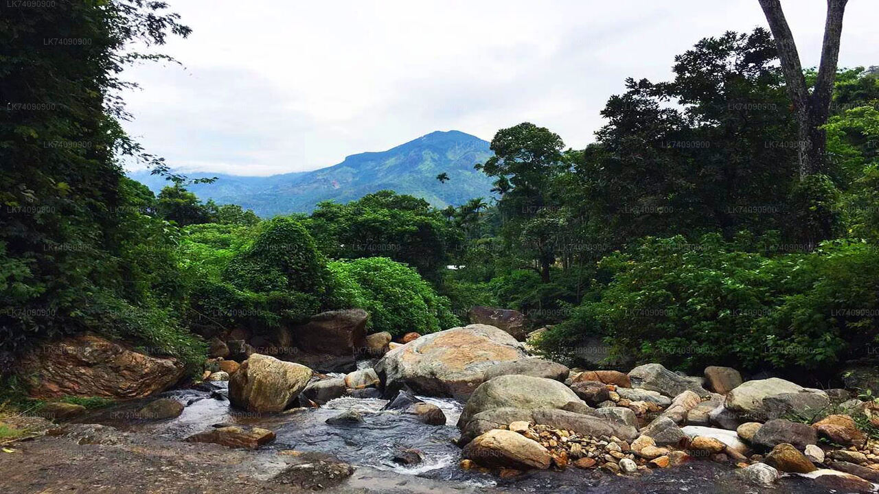 Waterfall Walk from Ella City