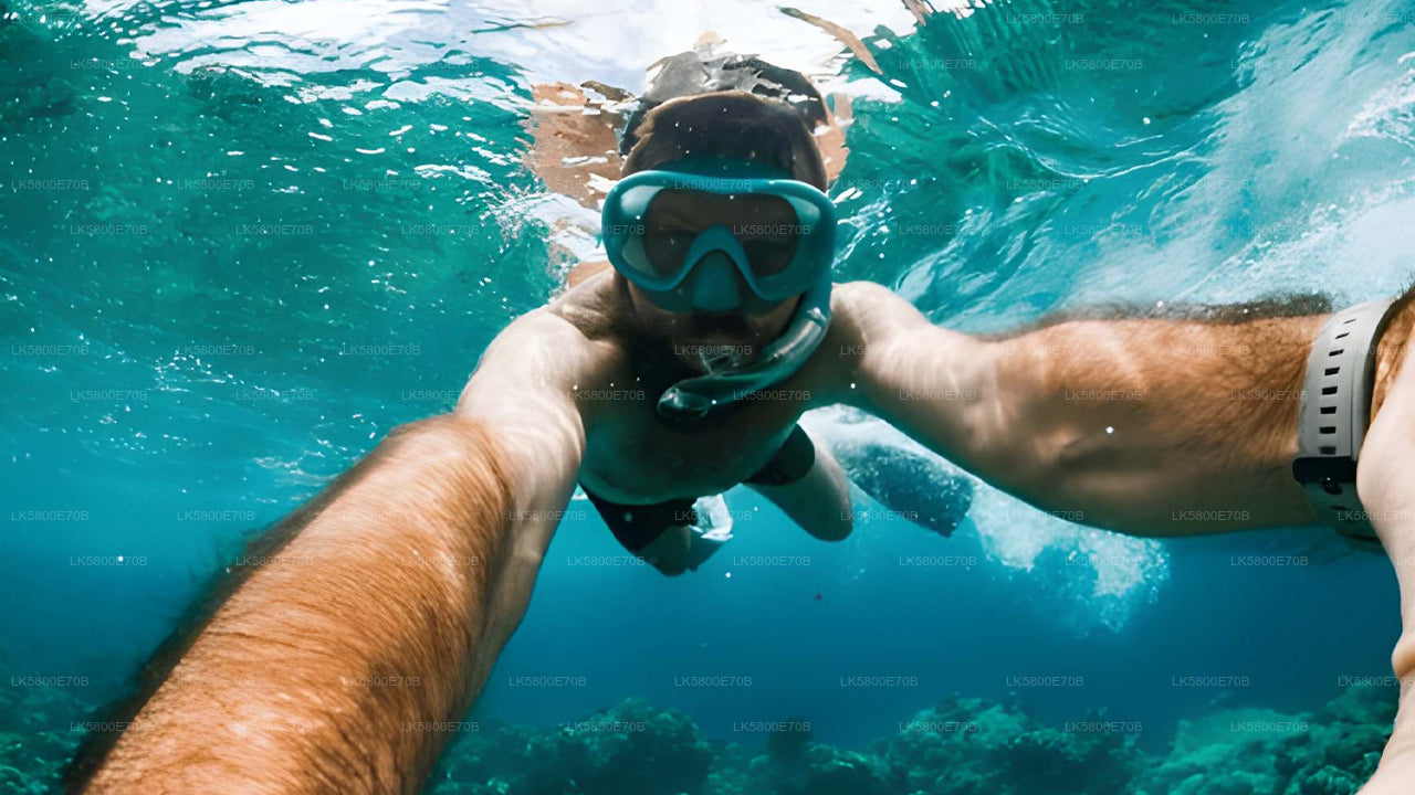 Snorkeling with Sea Turtles from Mirissa