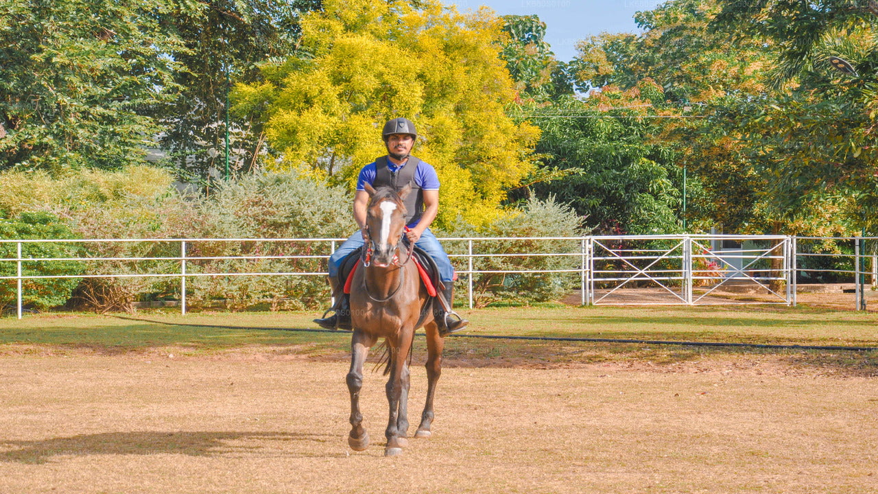 Horse Riding for Beginners from Habarana City