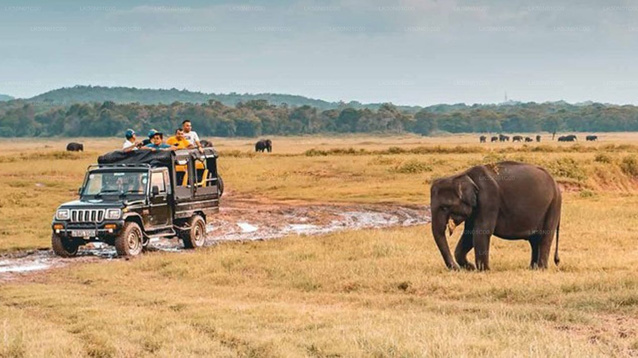 Maduru Oya National Park Private Safari with Naturalist