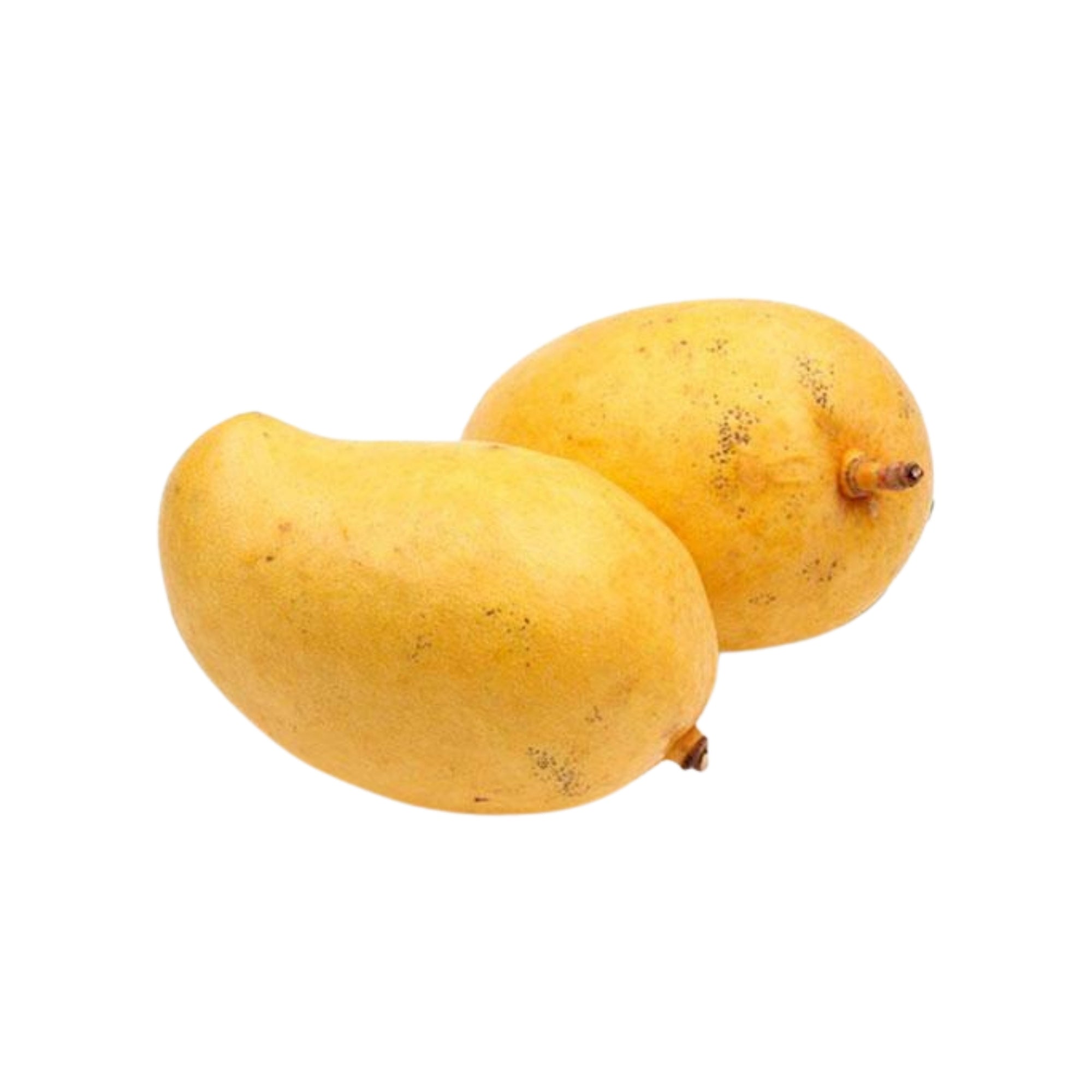 Lakpura® TJC Mango Grafted Plant