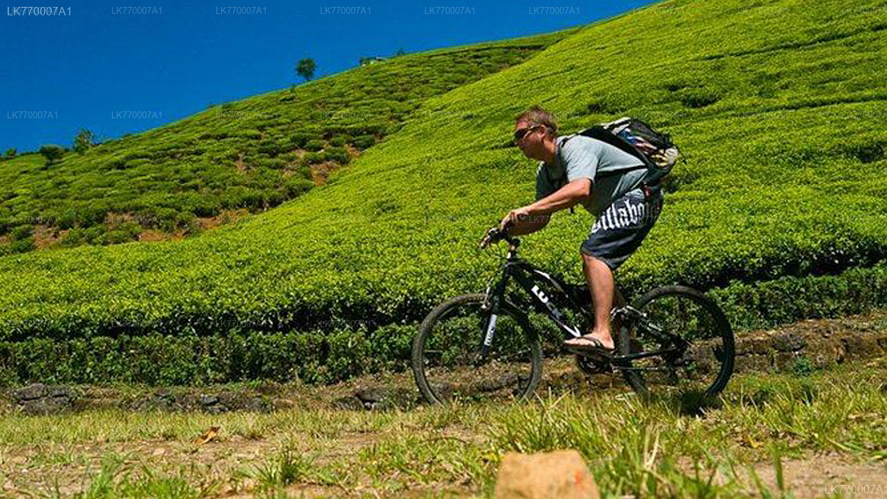 Discover Ella by Bicycle from Ella City