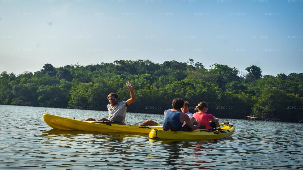 Kayaking from Bentota City