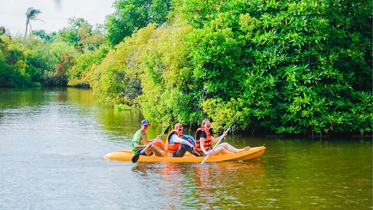 Lagoon Canoeing from Galle City
