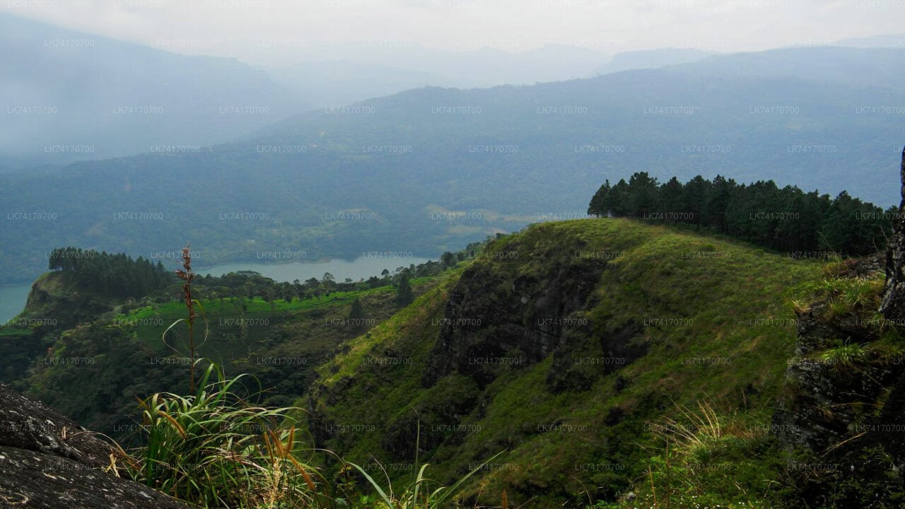Hike to Peacock Hill from Kandy City