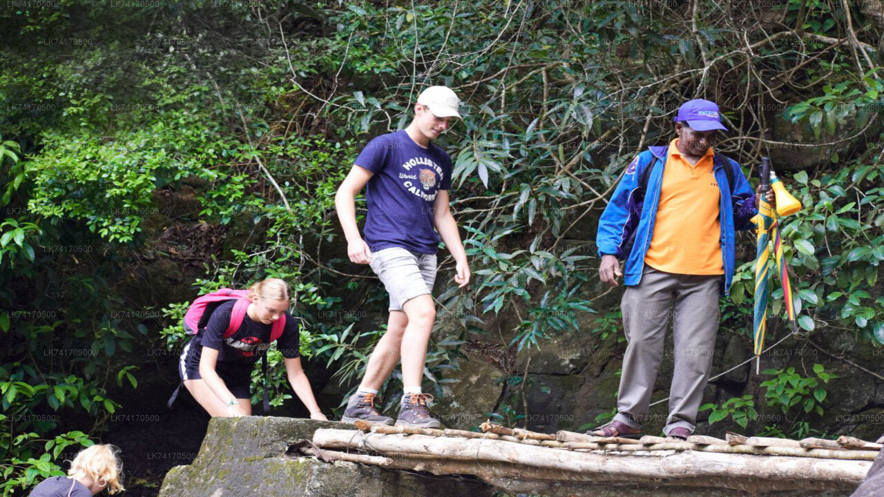 Trekking to Heeloya Village from Kandy City