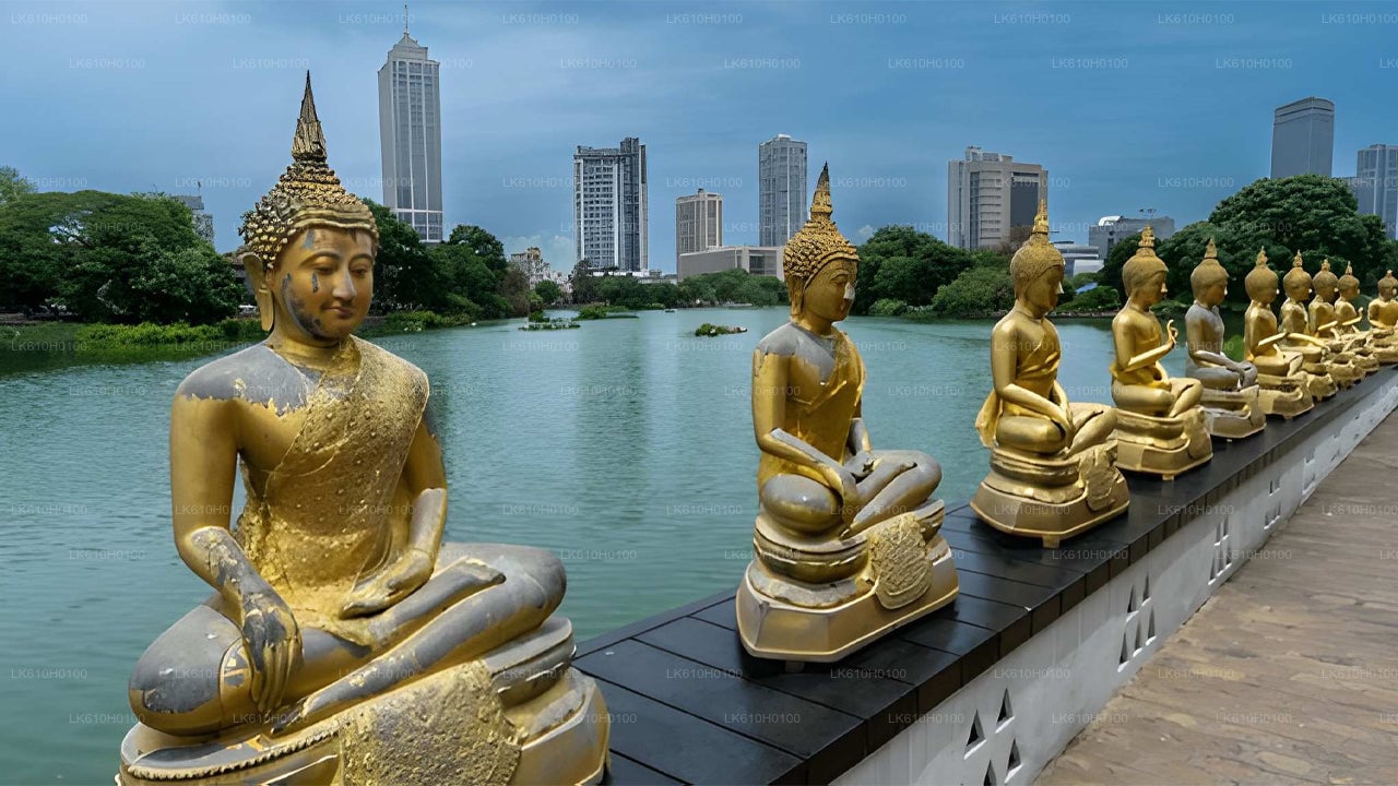 Colombo City Tour from Beruwala City