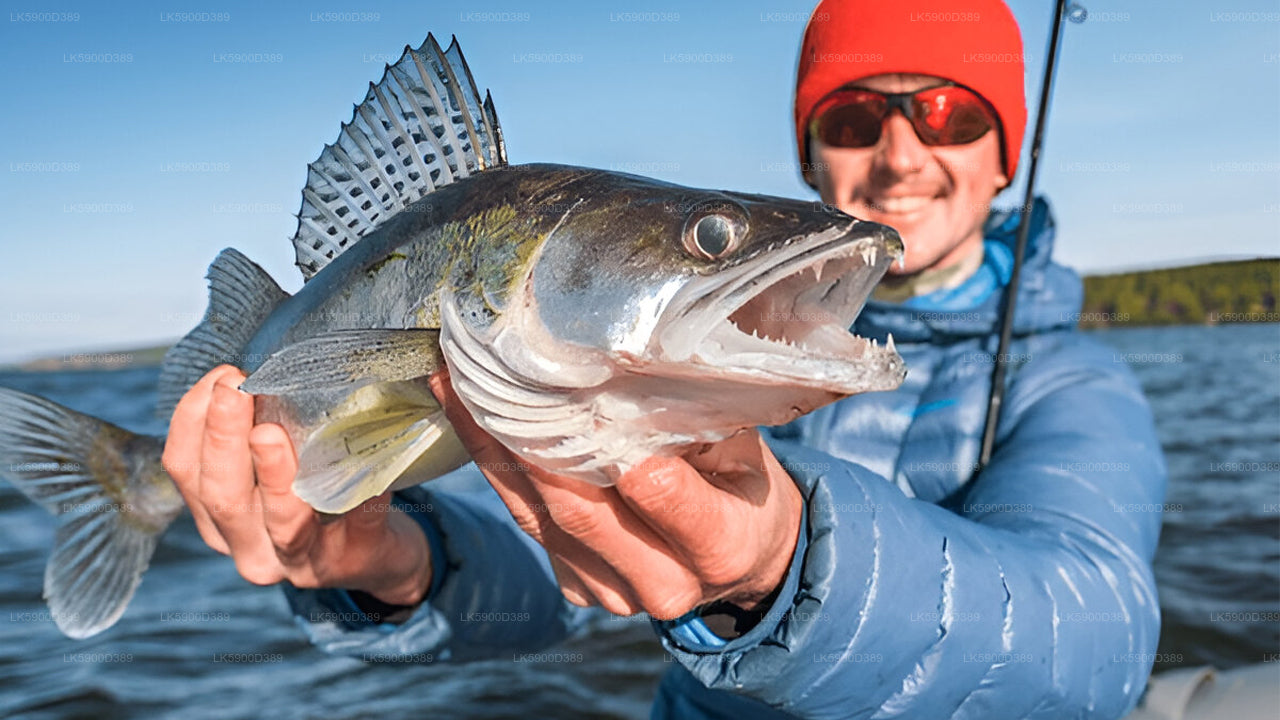 Deep Sea Fishing from Mirissa