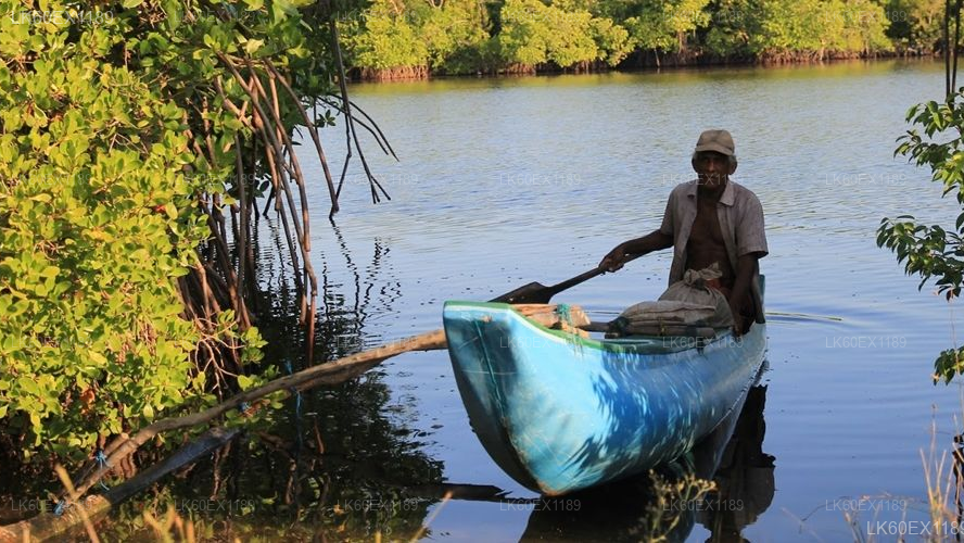 Panama Village Life Safari Experience From Panama City