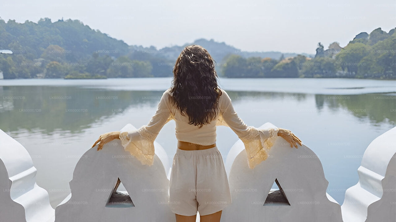 Private Transfer from Kandy to Ella with Scenic Stops