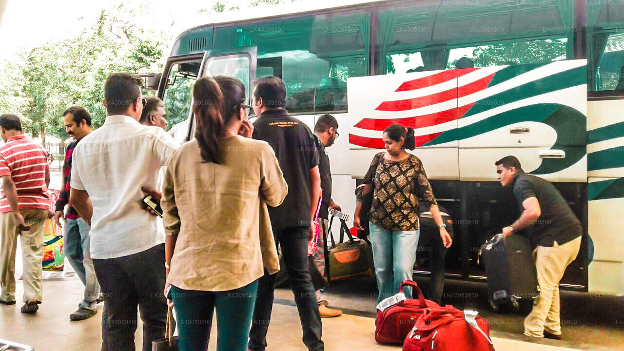 Transfer between Colombo (CMB) Airport and Sorowwa Resort and Spa, Habarana City