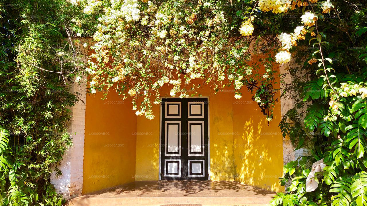 Brief Garden Tour and Lunch from Colombo City