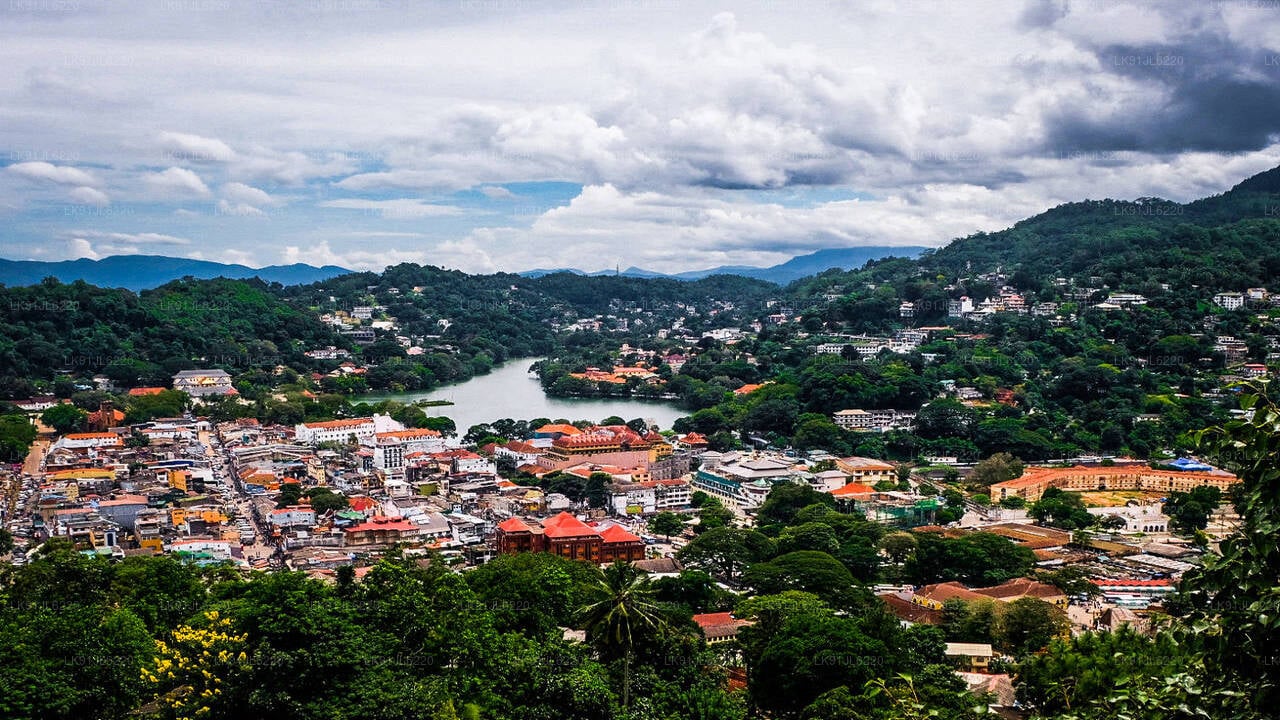 Discover Kandy by Helicopter from Colombo City Helipad