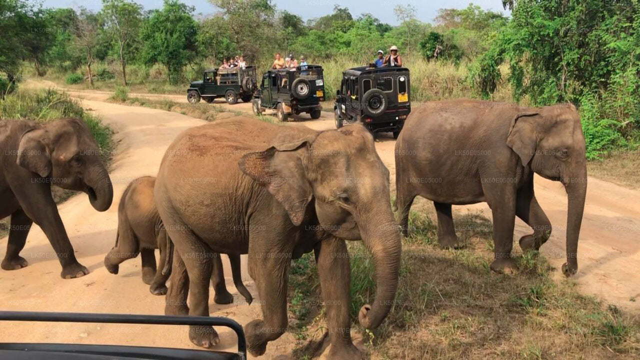 Hurulu Eco Park Private Safari from Sigiriya City