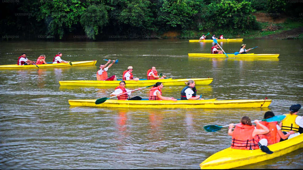 Canoeing in Mahaweli River from Kandy City