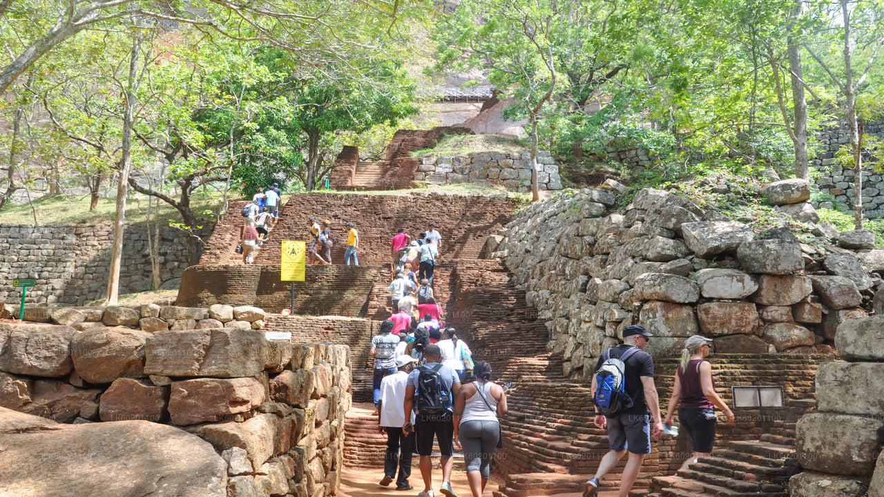 Sigiriya Rock og Dambulla Cave fra Sigiriya City