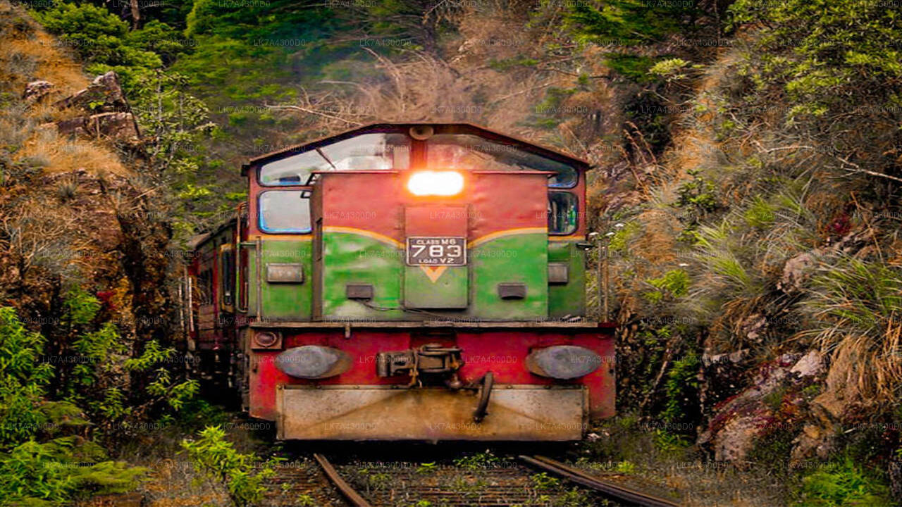 Nanu Oya to Kandy Train Tickets (Train № 1016 "Udarata Menike")