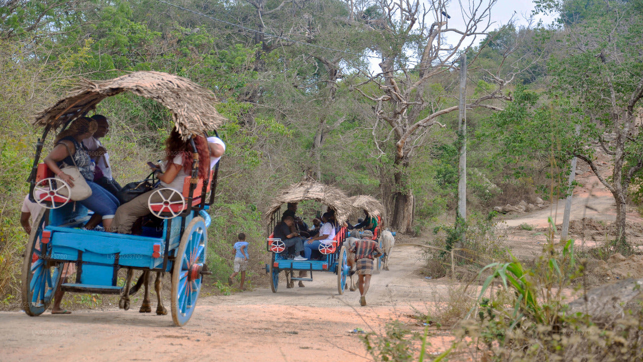 Village Life Tour from Kandy City
