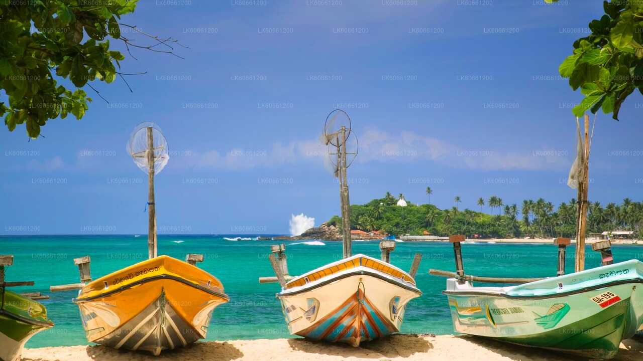 Negombo City Tour from Mount Lavinia City