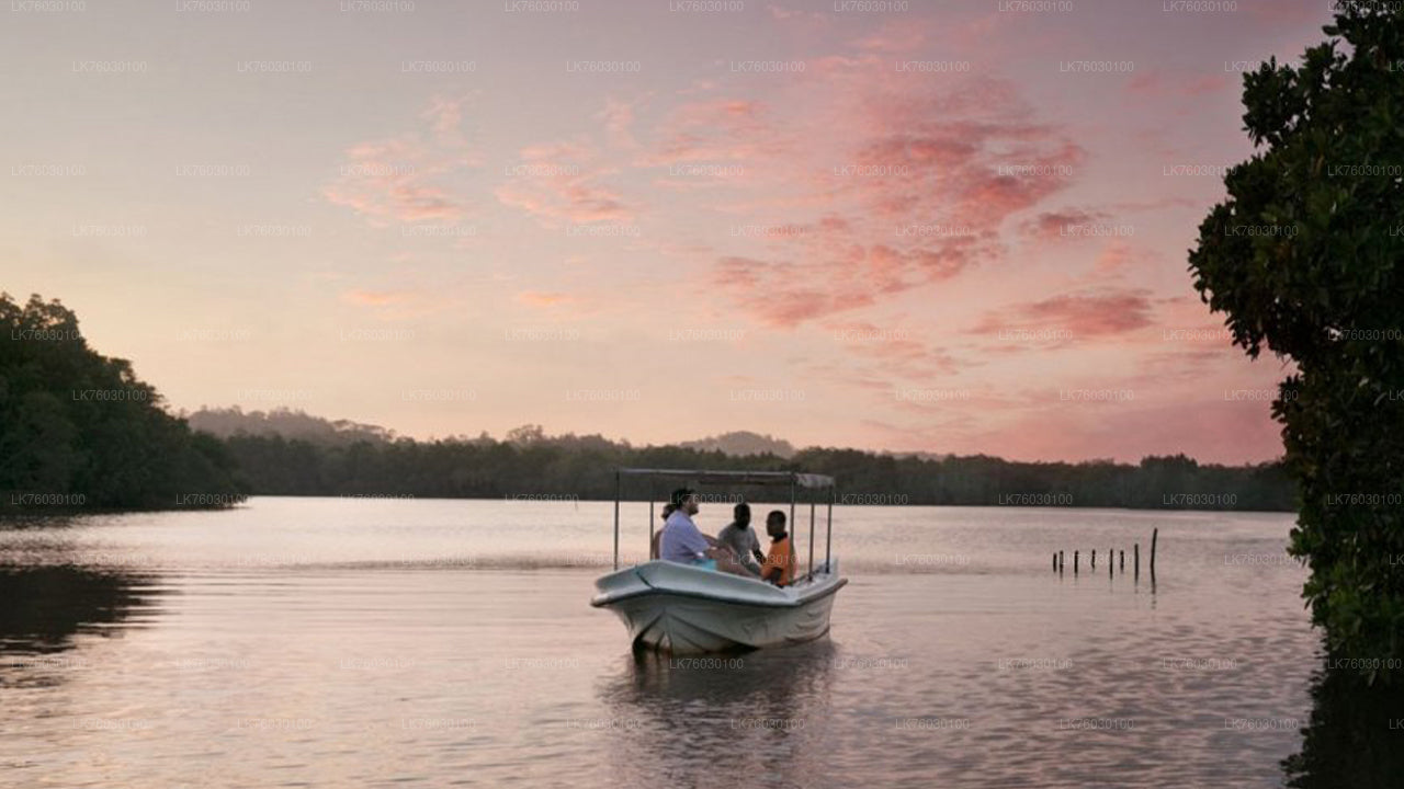 Madol Duwa Island and Mangroves by Boat from Koggala City
