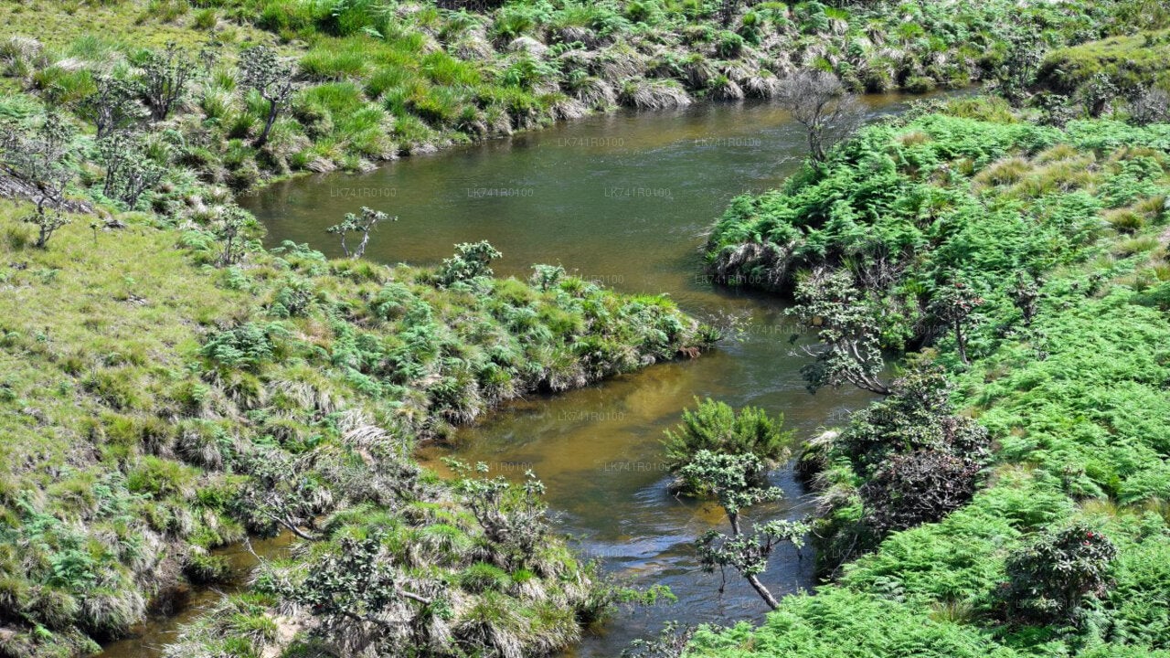 Horton Plains National Park Hike from Nuwara Eliya City