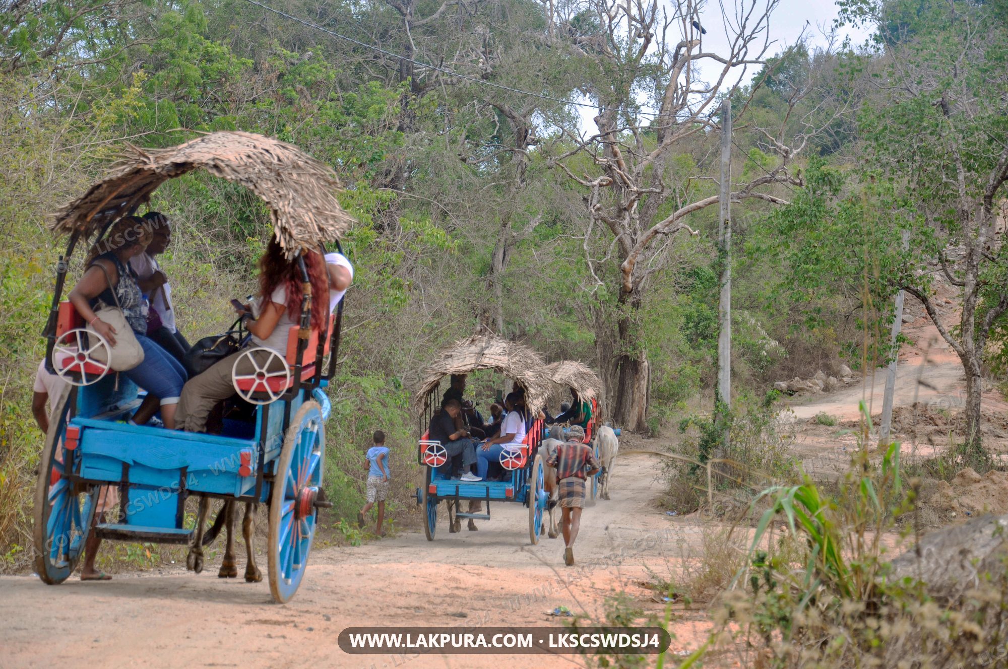 Sigiriya Village Tour with Sri Lankan Lunch from Dambulla