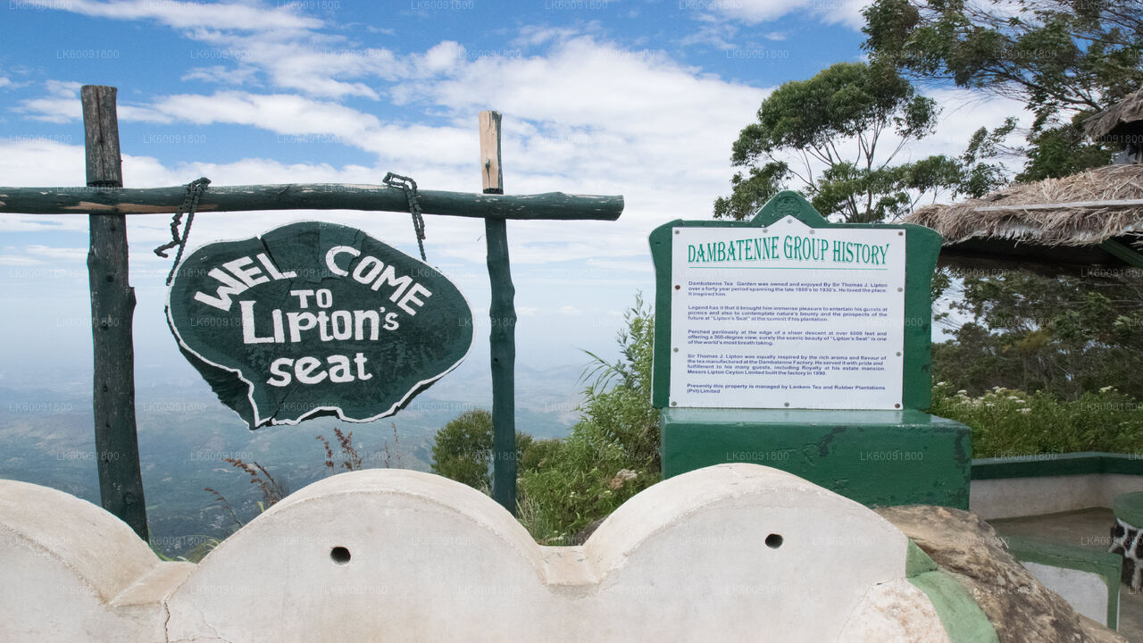 Lipton's Seat View Point from Ella City