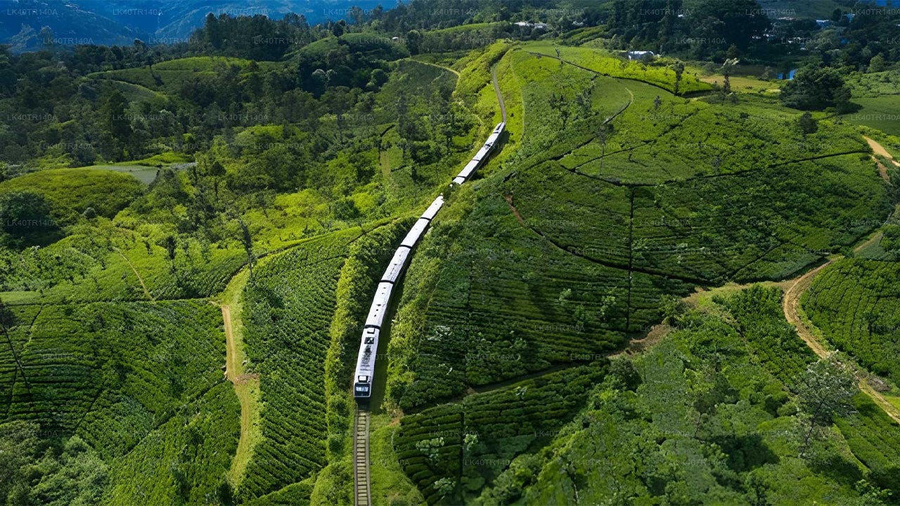 Ella to Kandy: A Scenic Journey by Train and Car or Van