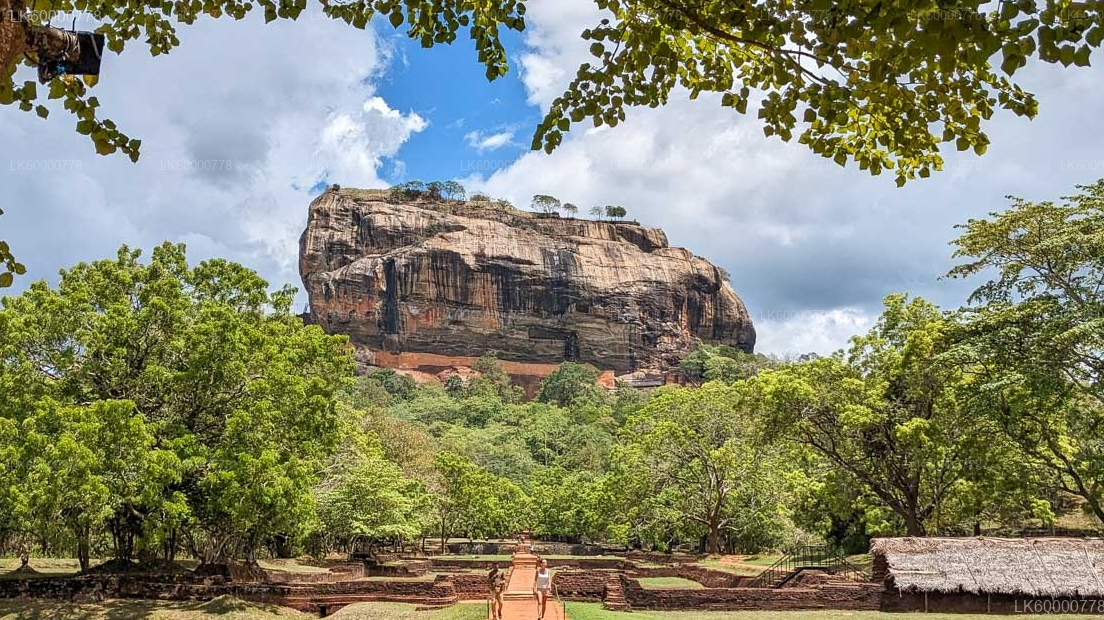 Sigiriya Rock, Village Experience and Wildlife Safari from Trincomalee City