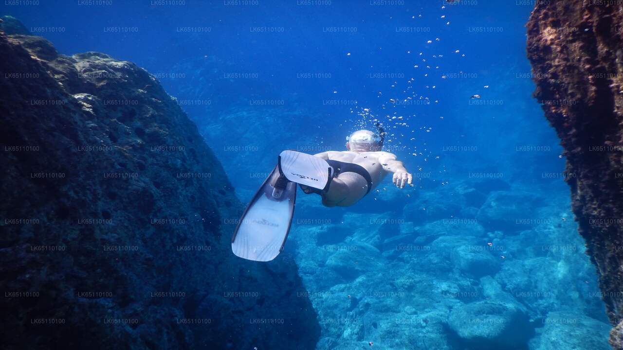 Plongée sous-marine à partir de la ville de Hikkaduwa