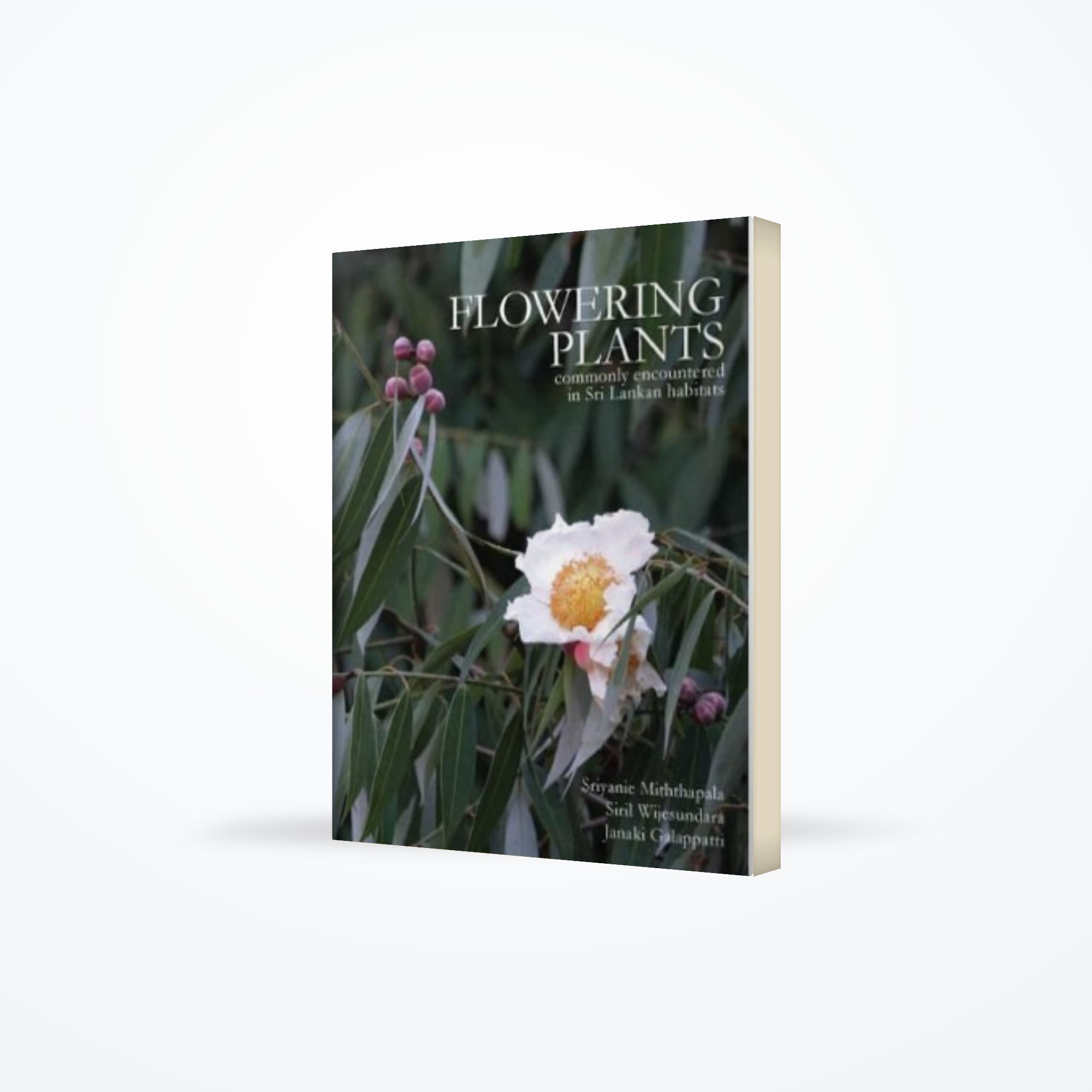 Flowering Plants Commonly Encountered in Sri Lankan Habitats