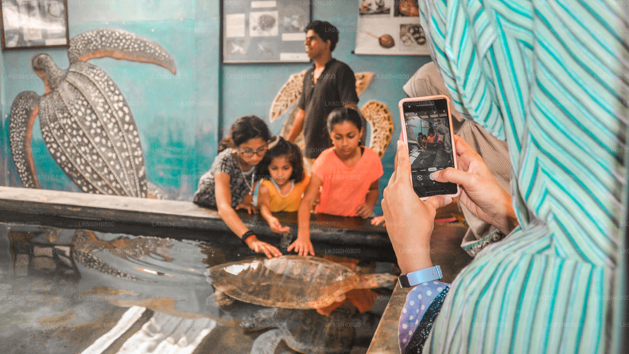 Bentota City Tour from Colombo City