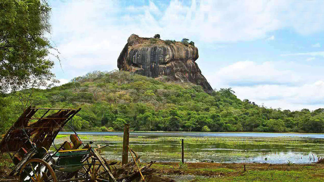 Sigiriya, Dambulla and Village Tour from Colombo City