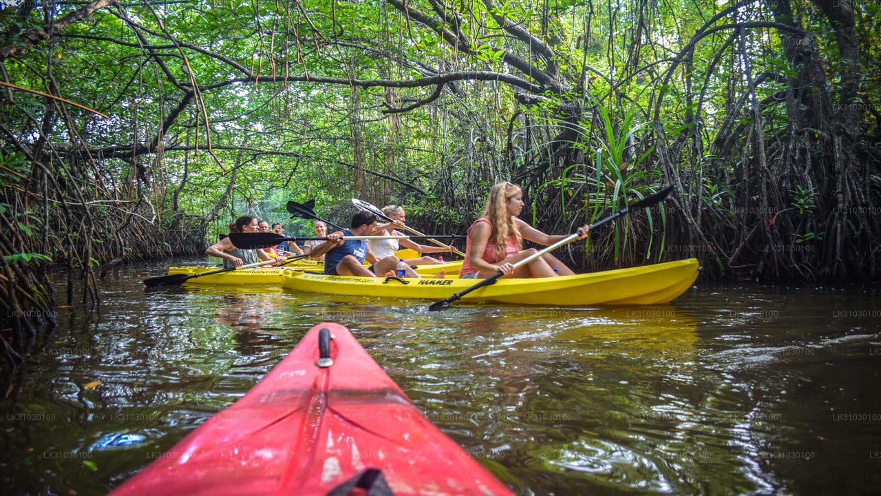 Kayaking from Bentota City