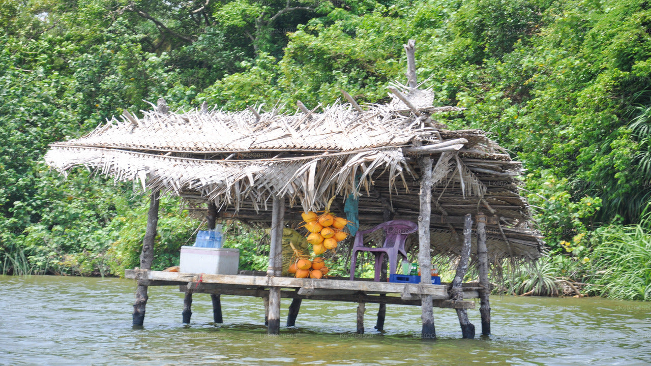 Bentota City Tour from Weligama City