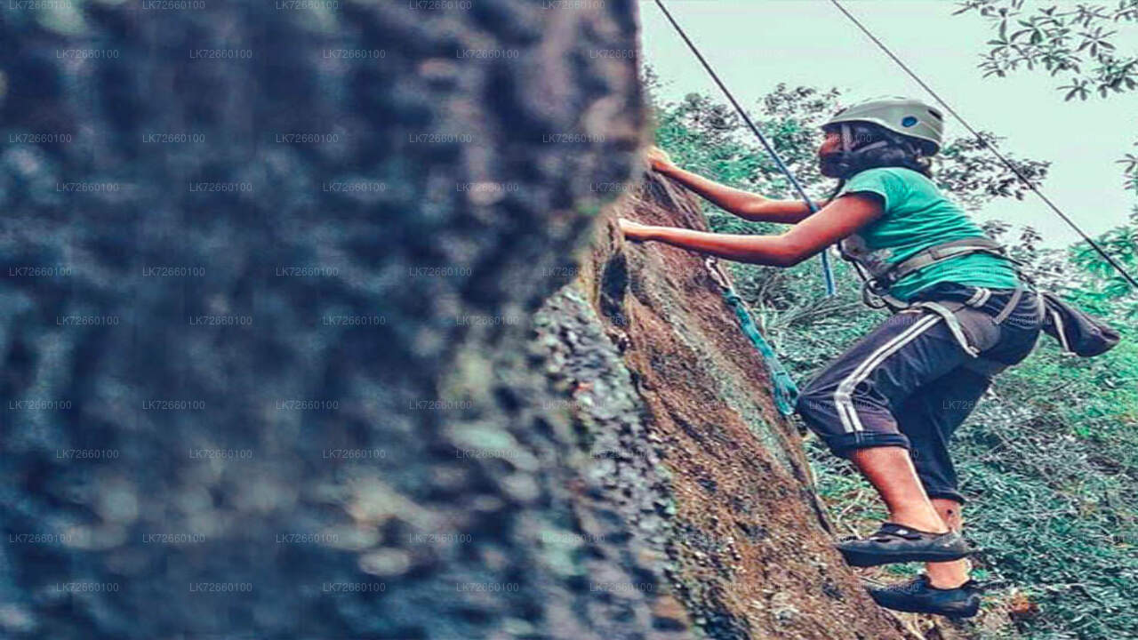 Forest Rock Climbing from Mount Lavinia City