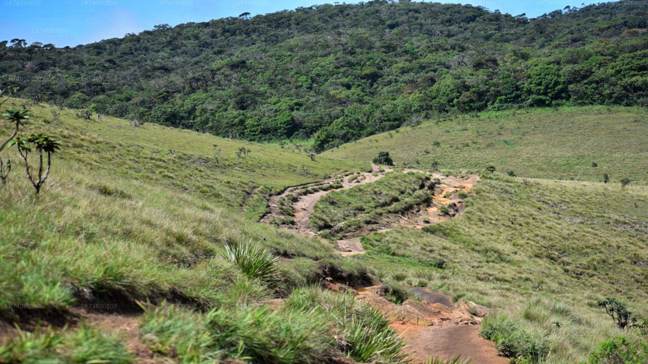 Horton Plains National Park from Ella City
