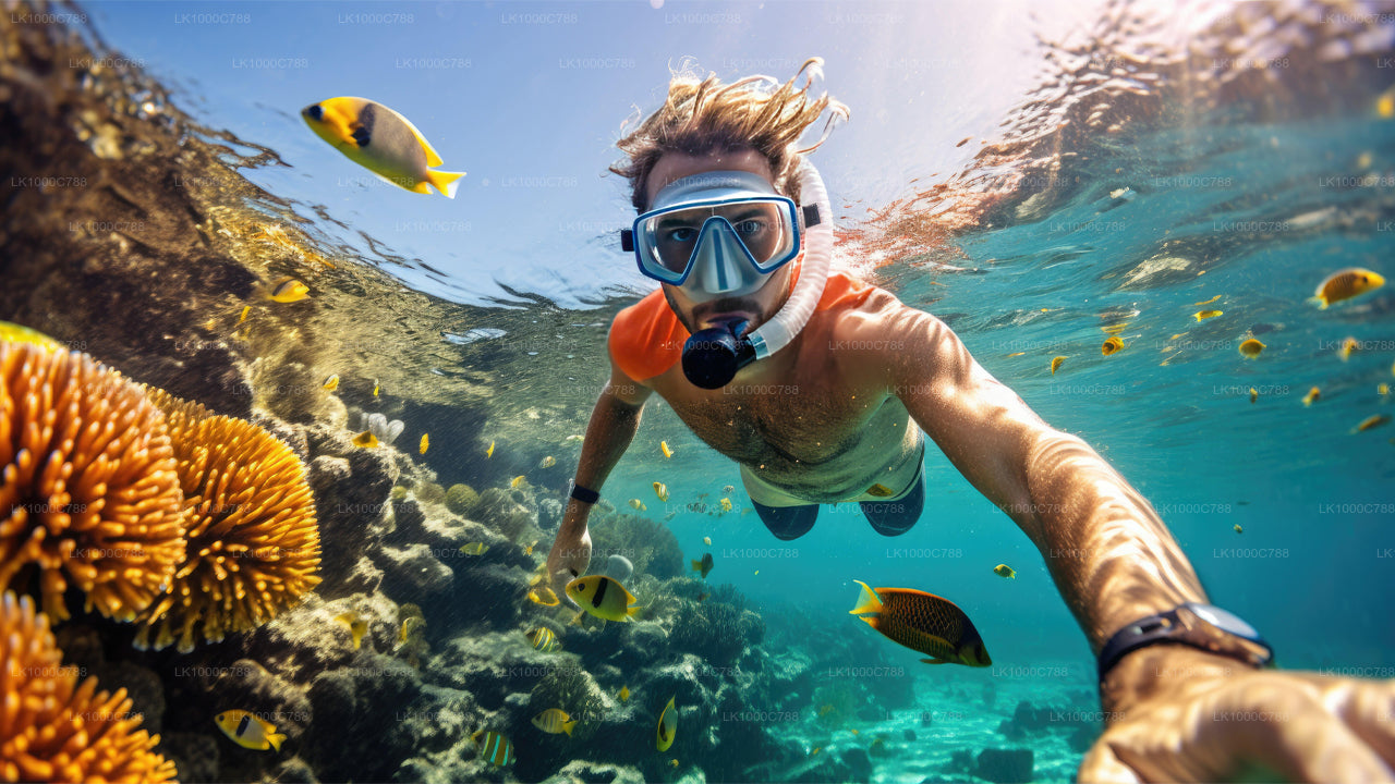 Dolphin Watching, Snorkeling, and Fishing Combined Tour at Trincomalee