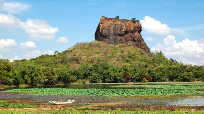 Private Tour from Trincomalee to Negombo with Sightseeing Stops