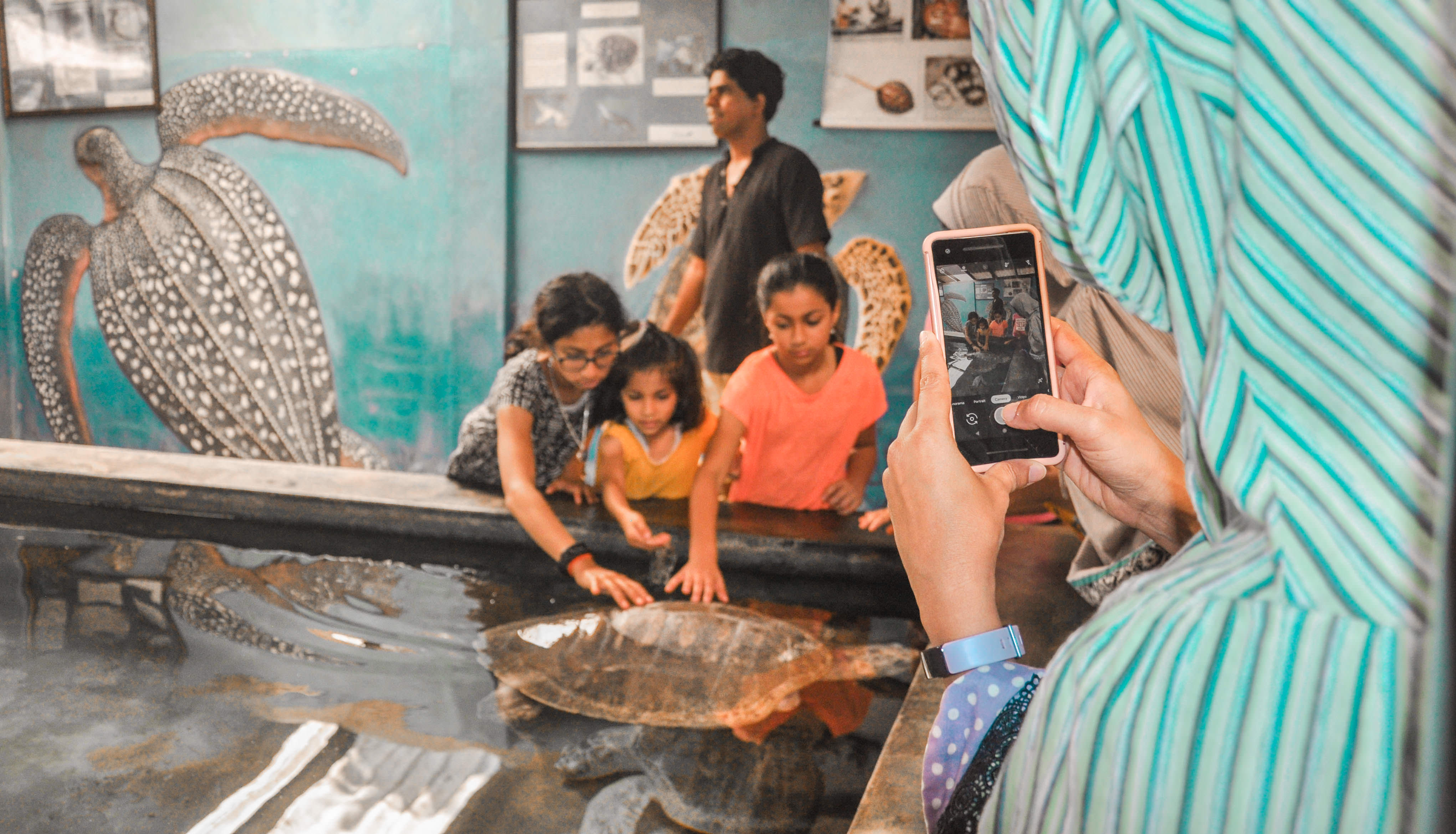 Sea, Sand and Marine Life from Negombo (2 Days)