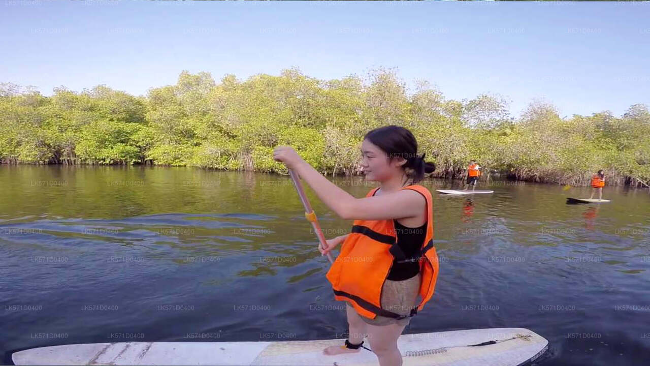 Paddle Boarding from Kitulgala City