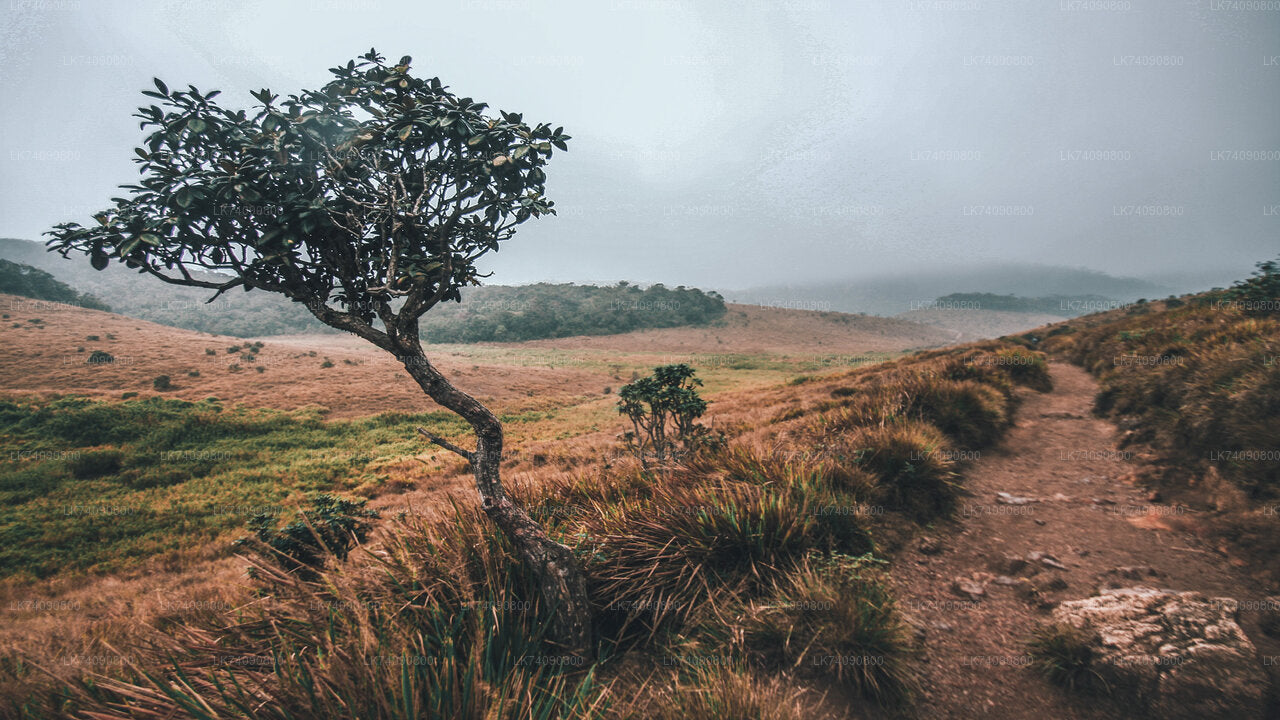 Horton Plains National Park from Ella City
