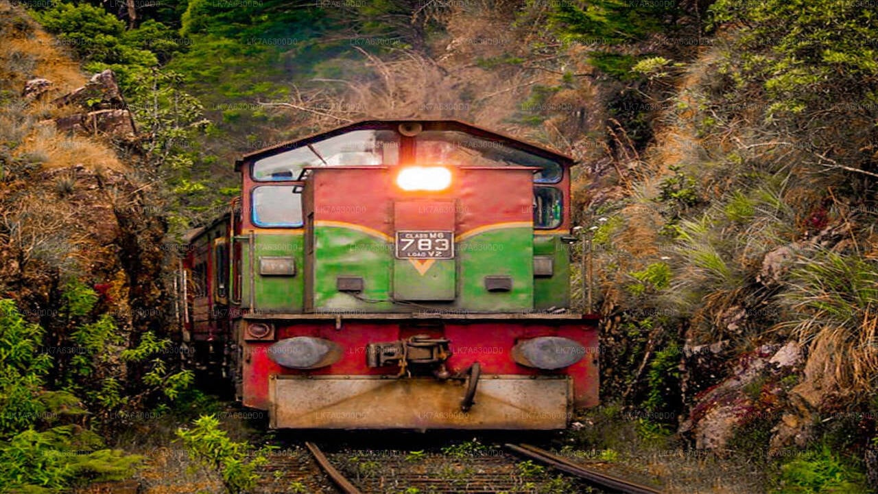 Badulla to Kandy Train Tickets (Train № 1016 "Udarata Menike")